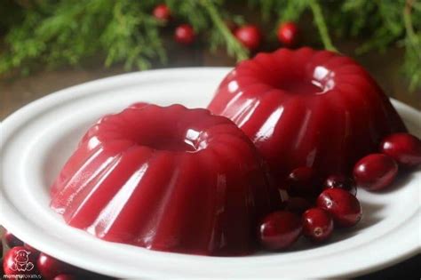 Jellied Cranberry Sauce Recipe Paleo And Gaps Friendly