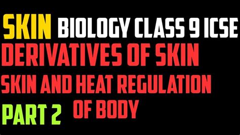 Skin Class 9 Biology Icse Derivatives Of Skin Skin And Heat Regulation Of Body Part 2