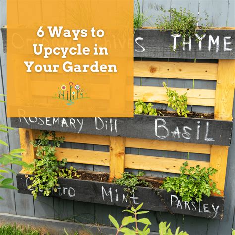 Six Diy Ways To Upcycle Your Garden Chippewa Valley Growers