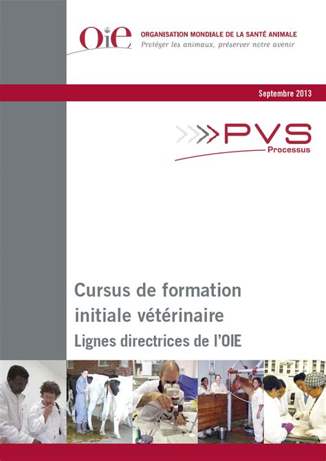 D Veloppement Des Comp Tences Et Formation Omsa Organisation