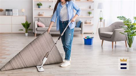 How Well Do Steam Mops Work Best Safe Household Cleaners