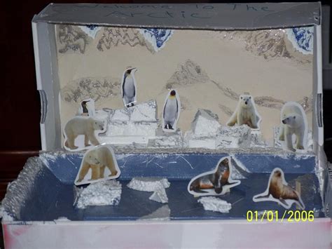 Jeffrey S Polar Bear Diorama 2 Polar Bear Bear Habitat Diorama