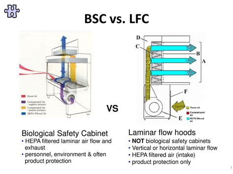 Laminar Flow Hood Vs Biosafety Cabinet What S The Off