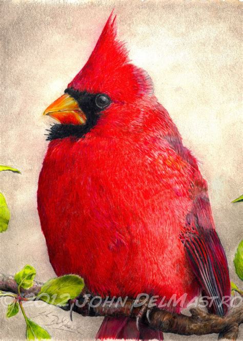 Fine Art Colored Pencil Drawings | ACEO ATC size print , color pencil ...