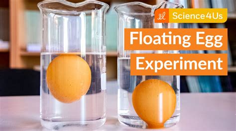 Explorelearning On Twitter Does An Egg Float Better In Freshwater Or Saltwater Give Your