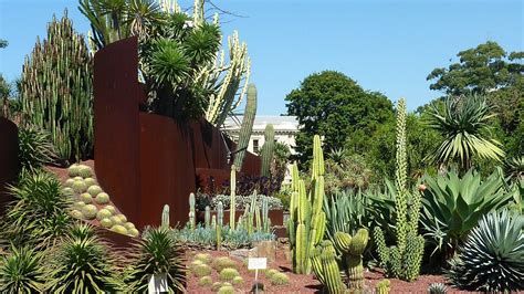 Amazing cactus and succulent garden, I better start planting...! Landscape Architecture ...