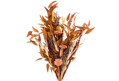 10 Gorgeous Dried Flower Arrangements We Love Havenly Blog Havenly