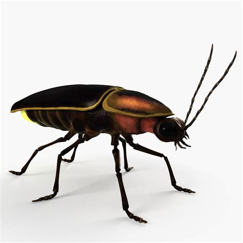 Firefly V1 Free 3d Model Obj Stl Free3d