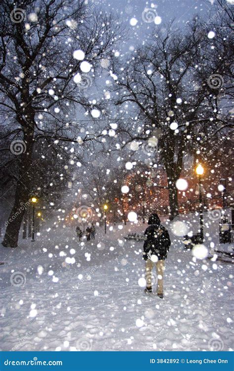 Boston Snow Storm editorial photography. Image of snowstorm - 3842892