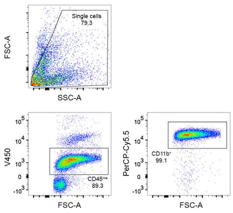 Expression Of Cd And Cd B By Microglia Each Dot Represents A