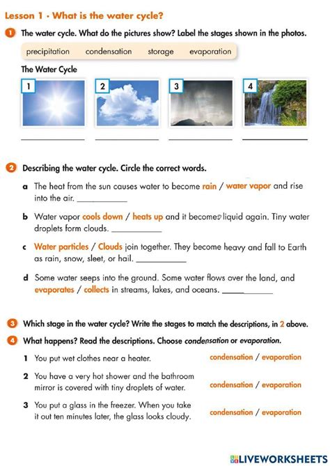 Water Cycle Activity For GRADE 5 Live Worksheets Worksheets Library