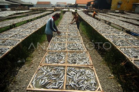 Harga Ikan Asin Naik Antara Foto