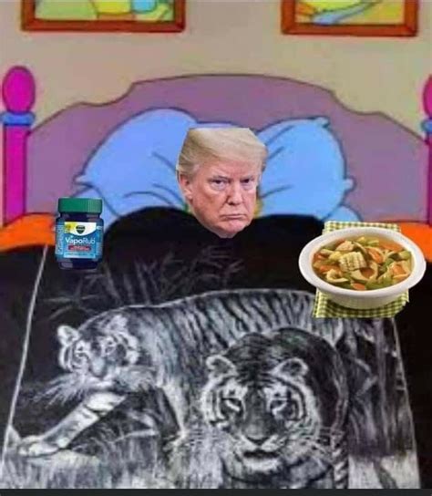 Donald Trump Meme Cobija Tigre Enfermo Caldo De Pollo Vicks Vapoorrup