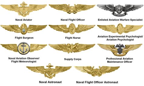 Naval Aviation: A Brief History of the Naval Air Forces