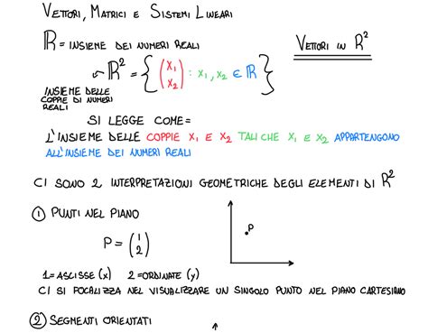 Introduzione Ai Vettori Geometria E Algebra Lineare Studocu