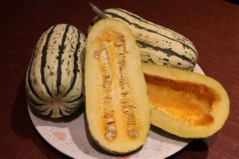 Bush Delicata Winter Delicata Sweet Dumpling Winter Squash