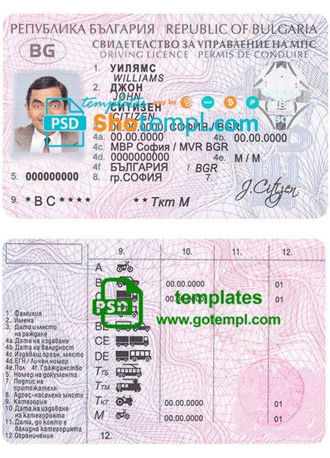 Bulgaria Driving License Template In Psd Format Fully Editable