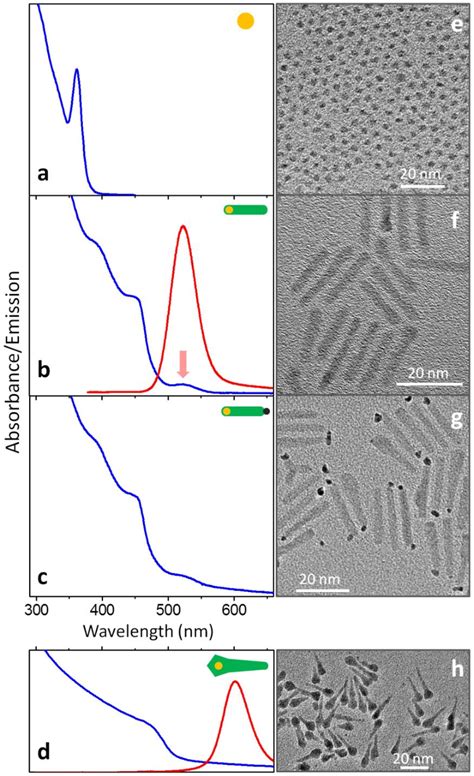 Figure From Synthesis And Dynamics Of Photocatalytic Type Ii Znse Cds