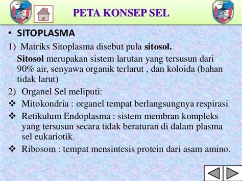 Peta Konsep Sel 2