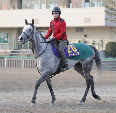 日曜中京の注目激走馬中京11r高松宮記念・g1 Umatoku 馬トク