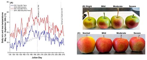 Plants Mdpi On Twitter Editor S Choice Article Plants Mdpi