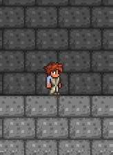 Blizzard en bouteille — Wiki Officiel de Terraria