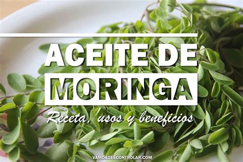 Aceite De Moringa Casero Receta Usos Y Beneficios