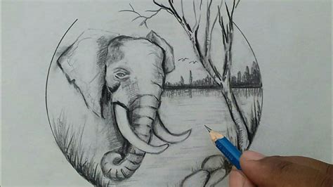 How To Draw An Elephant Drawing Step By Step Easy For Beginners Youtube