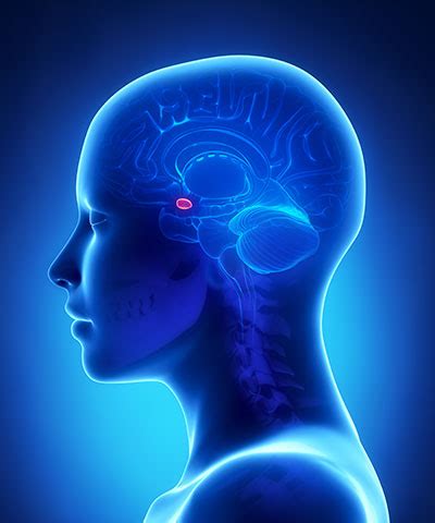 Gliomatosis Cerebri Ursachen Symptome Behandlung MedLexi De