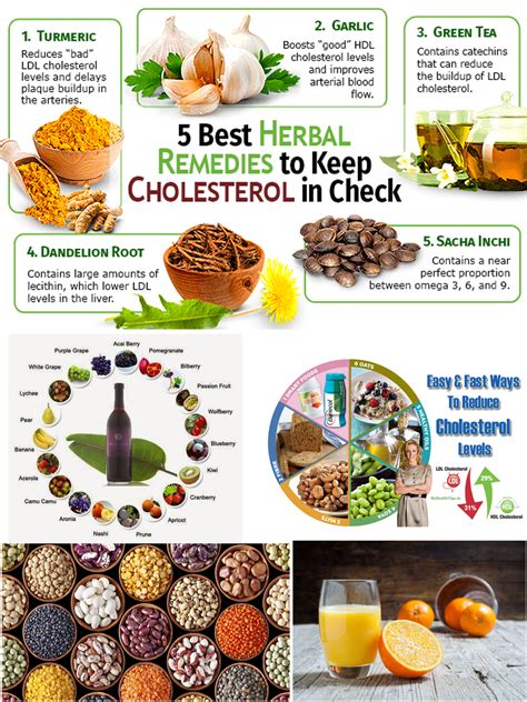 Health And Nutrition Natural Cholesterol Guide