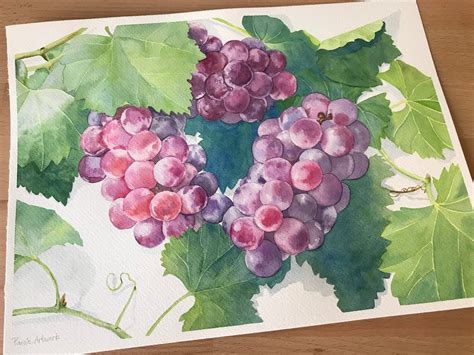 Grapes : Watercolor