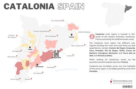 Your 2025 guide to Catalonia wine region | Winetourism.com