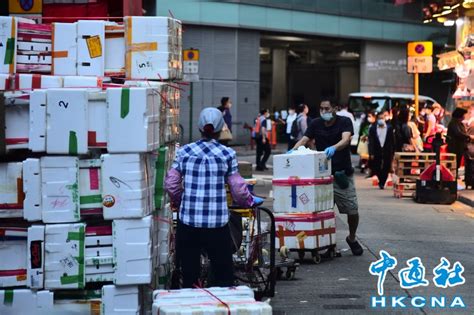 香港今年8月至10月失業率回落至43 圖集 香港中通社