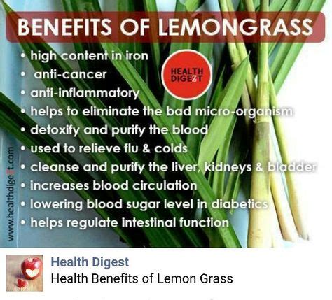 Benefits Of Lemongrass Lemon Health Benefits Lemon Grass Benefits