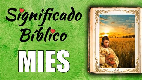 Mies Significado B Blico Y Su Importancia En La Vida Cristiana