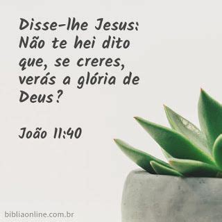 João 11 40 Explicação - João 11:40