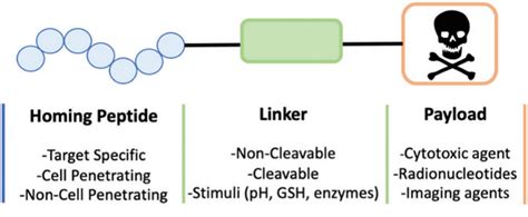 文献专题解读 多肽药物偶联物peptide Drug Conjugates Pdcs概述与未来发展方向【副标题：多肽作为癌症靶向治疗的