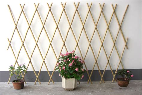 Expandable Bamboo Poles Trellis