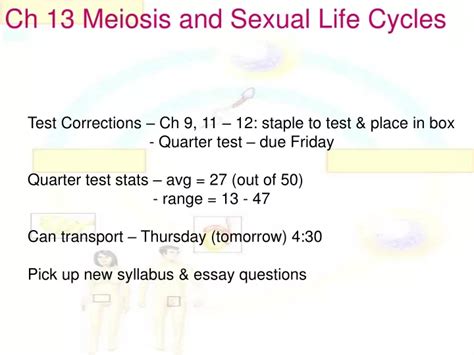 Ppt Ch 13 Meiosis And Sexual Life Cycles Powerpoint Presentation Free Download Id9497640