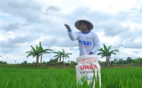 6 Langkah Agro Solution Pupuk Kaltim Pacu Produktivitas Petani