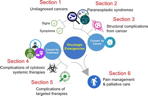 The Innovation Oncology On Twitter Oncologic Emergencies And