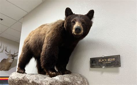 Western Kansas Wildlife Center Offers A Unique Draw To Truck Stop