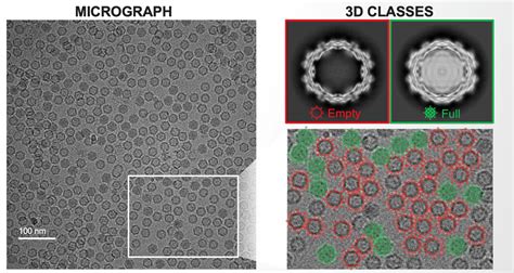 Cryo Tem Tundra Cryo Tem Life In Atomic Resolution