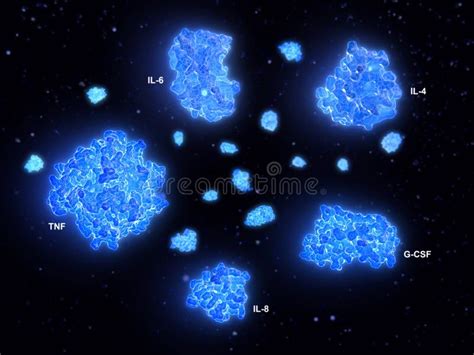 Cytokine Storm Crucial Cytokines Involved In Inflammation Processes