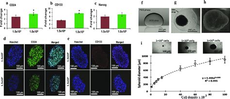 Q Pcr Analysis Of Expression Of A Cd24 B Cd133 And C Nanog In