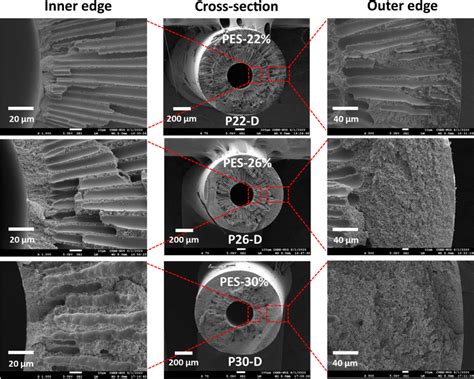 Highlighted Fesem Morphologies Of Representative Pes Hollow Fiber