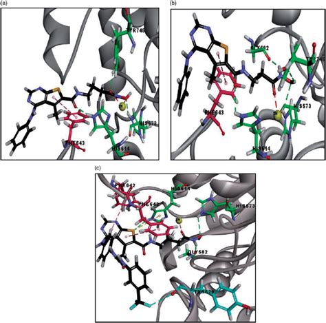 a 3D image of binding interactions of 20 b CDOCKER ENERGY¼ 34 32