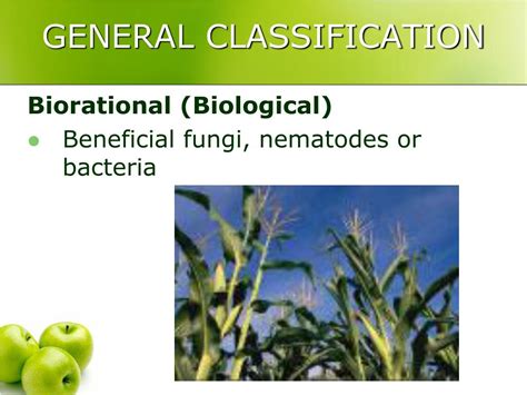 Ppt Insecticides Powerpoint Presentation Free Download Id5742155