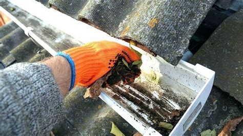 The 5 Most Common Issues Caused By Clogged Gutters News And Events