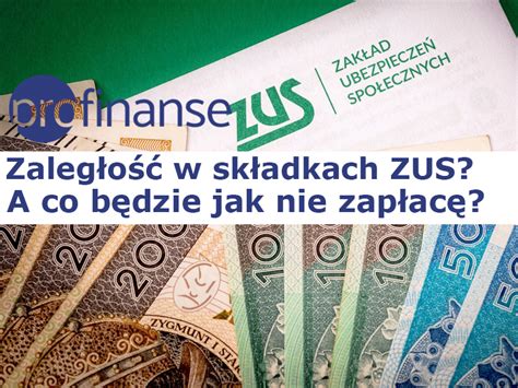 Sk Adki Zus A Co B Dzie Jak Nie Zap Ac Profinanse Kredyty Dla